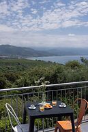 Scario Club