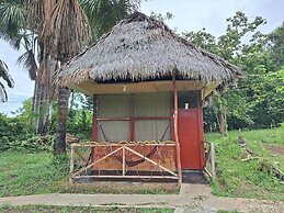 La Casa del Ayahuasca - Luz del Amazonas