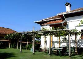 Grandpa House