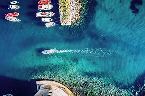 Marine Dream