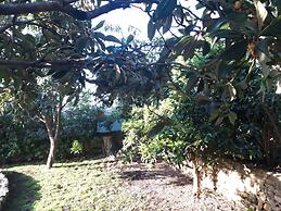 Arr Bida Sea Country Side Villa