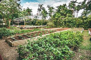 Kariwak Village Holistic Haven