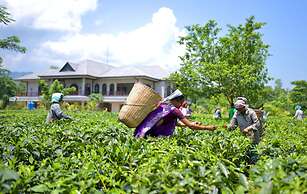 Vaani Greens
