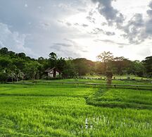 Baan Na Kang Tong