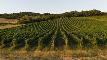 agriturismo Castel d'Alfiolo-Barcomonte