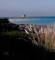 B&B La Reale