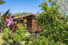La Maison Hotel Çıralı