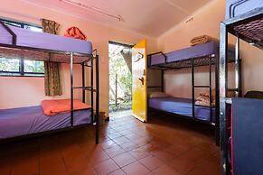 Coffee Shack Backpackers & Self-Catering