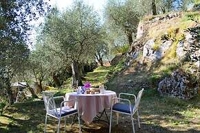Peralta Tuscany