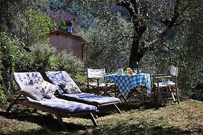Peralta Tuscany
