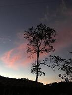 Entre Guaduas