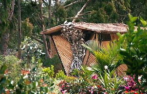 Hotel PIA Colombia