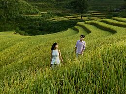 Garrya Mu Cang Chai