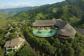 Garrya Mu Cang Chai