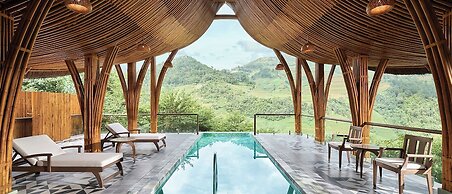 Garrya Mu Cang Chai