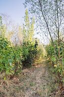 Gandum Village