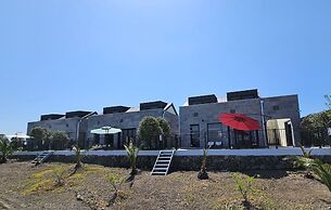 Check In Jeju