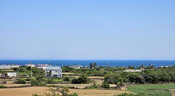 Check In Jeju