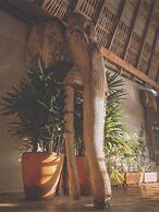 Tribu glamping vista Carrizalillo
