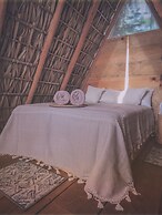 Tribu glamping vista Carrizalillo