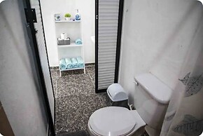 Studios erizo