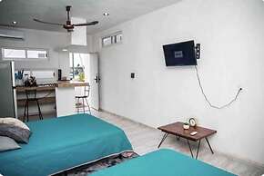 Studios erizo