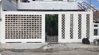 Studios erizo
