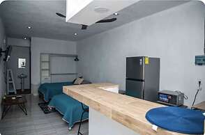 Studios erizo