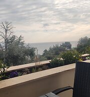 blue crystal view