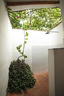 Achiotte by Masaya Collection