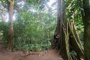Elida Lodge Monteverde