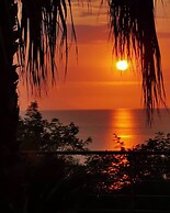 BLOOM Tropea