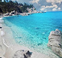 BLOOM Tropea