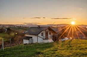 Vineyard cottage Majolka
