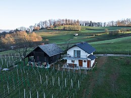 Vineyard cottage Majolka