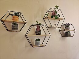 Oddity Studio By Paradox