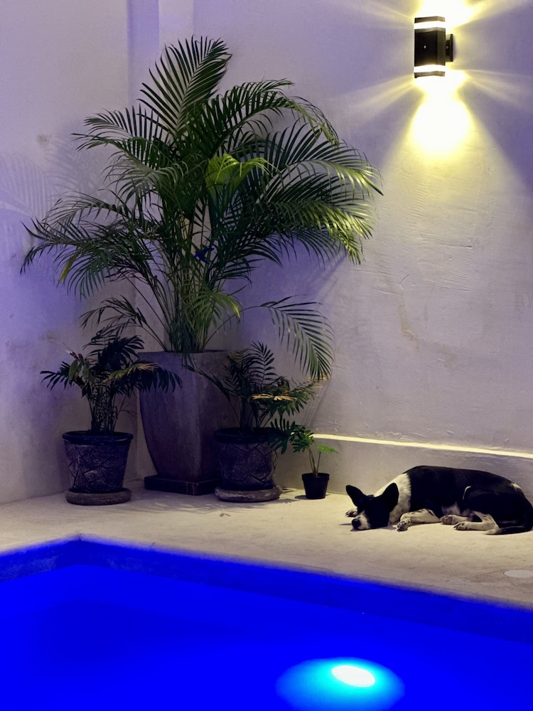 Hotel Casa Prisca