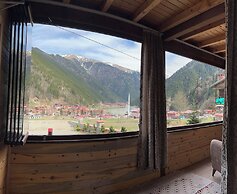 Albatros Uzungöl