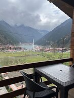 Albatros Uzungöl