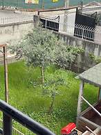 Kalpazo Tirana Vila 313