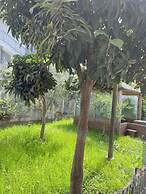 Kalpazo Tirana Vila 313