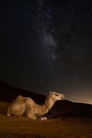 Bedouin life