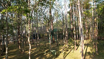 Yercaud Yellow Lake Resorrt and spa