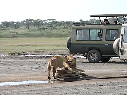 Stc.Safari lodge