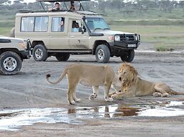 Stc.Safari lodge