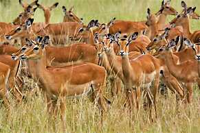 Stc.Safari lodge