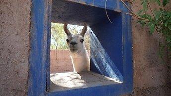 Ckoi Atacama Lodge