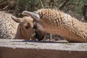 Ckoi Atacama Lodge