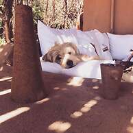 Ckoi Atacama Lodge