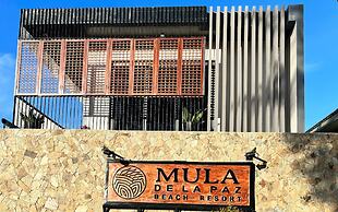 Mula De La Paz